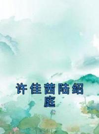 《许佳茜陆绍庭》小说免费阅读 许佳茜陆绍庭大结局完整版
